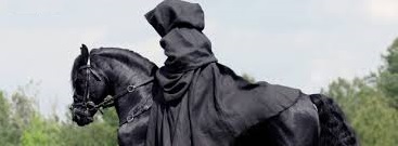 Paard